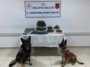 Jandarmadan Dron Destekli Uyuşturucu Operasyonu