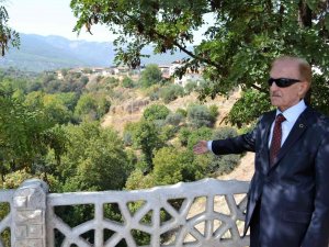 Karacasu Bir Çınarını Daha Kaybetti