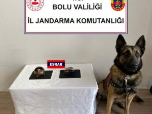 Cips Kutusunda 500 Gram Toz Esrar Ele Geçirildi