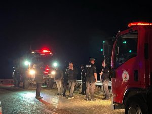 Sinop’ta Ot Yangını