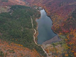 Boraboy Gölü Tabiat Parkı’nda Renk Cümbüşü