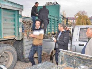 Elbistan’da Üreticilere Hibe Destekli Alıç Fidanı Dağıtıldı