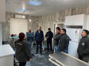 Kütahya’da Sokak Hayvanlarına Belediye Şefkati