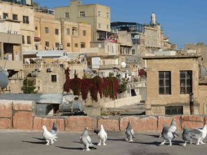 Mardin’de Taklacılar Tescil Edilmeyi Bekliyor