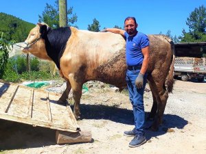 Orta Refüje Çıkan Otomobil Takla Attı: 1 Ölü, 1 Yaralı
