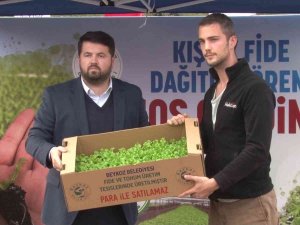 Beykoz’da Çiftçilere 400 Bin Kışlık Fide Desteği