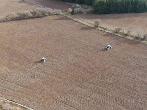 ‘Bulgurun Atası’ Siyezin Ekimine Başlandı