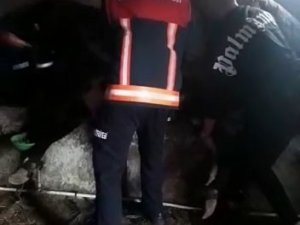 Yemliğe Düşerek Sıkışan İneği İtfaiye Kurtardı