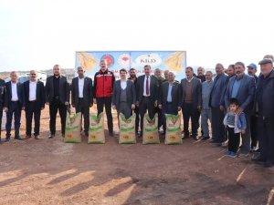 Tohumluk Buğday Dağıtımı Tamamlandı