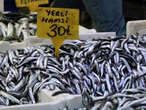 Hamsinin Fiyatı Düştü, Talep Azaldı
