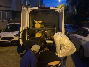 Büyükçekmece’deki Kadın Cinayetinde Kan Donduran Detay