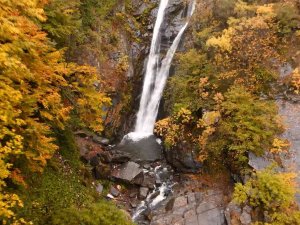 Şehrin İçinde Çağlayan Güzellik