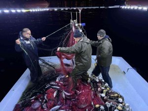 Denizanaları Karadenizli Balıkçıları Canından Bezdirdi