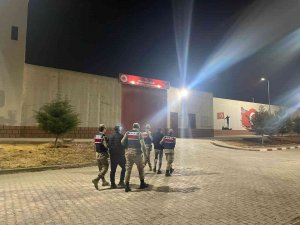 Kilis’te 5 Düzensiz Göçmen Yakalandı