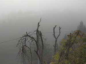 Silvan’da Yoğun Sis Etkisi