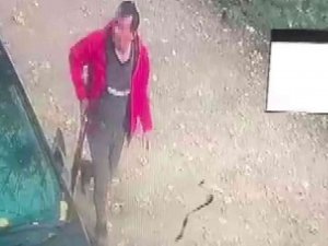 Tavuklarına Saldırdığı Gerekçesiyle Sokak Köpeğine Ateş Açtı