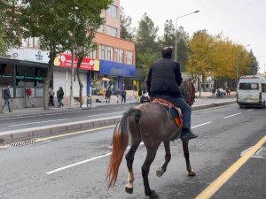 Şehrin Ortasında Atla Tur Attı