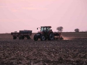 Edirne Çiftçisi Tarlalarda Buğday Ekimi Mesaisini Tamamladı