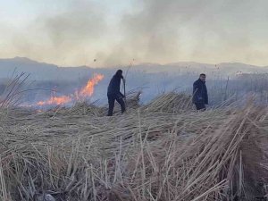 Birçok Kuş Türünün Yaşadığı Nehil Sazlığı’nda Yangın
