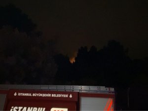 Kartal Aydos Ormanı’nda Çıkan Yangın Söndürüldü
