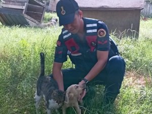 Jandarma Can Dostları Unutmadı