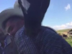 Ağzıyla Sahibinin Omzuna Masaj Yapan At, Görenleri Gülümsetti