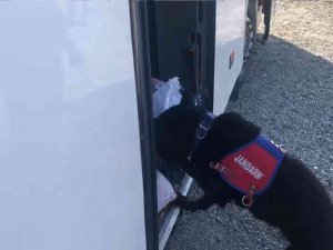 Iğdır’da Yolcu Otobüsünde Uyuşturucu Ele Geçirildi