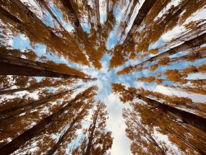 Doğunun Gizli Denizi Hazar Gölünde Sonbahar Güzelliği