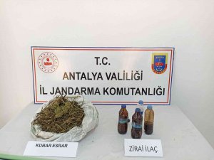 Muz Bahçesine Esrar Operasyonu