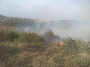 Sultangazi’de Çalılık Alanda Korkutan Yangın