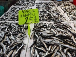 Hamsi Avı Bollaştı, Fiyatı Yarı Yarıya Düştü