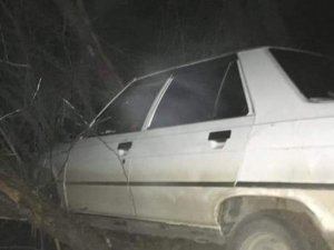 Yoldan Çıkan Otomobil Ağaçlara Çarparak Durabildi: 1 Yaralı