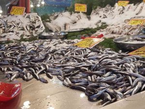 Hamsi 40 Liradan Tezgahlardaki Yerini Aldı
