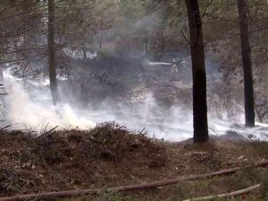 Sultangazi’de Çalılık Alanda Yeniden Yangın Çıktı