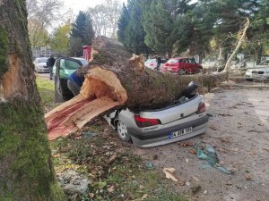 Facianın Eşiğinden Dönüldü: Aracını Bırakıp Okula Gitti, Dakikalar Sonrası Korkunç