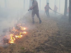 Tavşanlı’daki Orman Yangını Kısa Sürede Söndürüldü