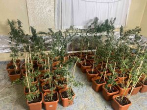 Başkentte Gizlenmiş Vaziyette Çok Sayıda Uyuşturucu Madde Ele Geçirildi