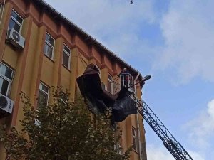 Edirne’de Şiddetli Lodos Çatıyı Uçurdu