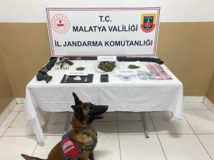 Jandarma Zehir Tacirlerine Göz Açtırmıyor