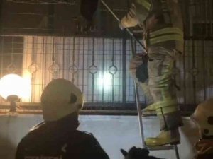 Beylikdüzü’nde Tellere Sıkışan Köpeği İtfaiye Ekipleri Kurtardı
