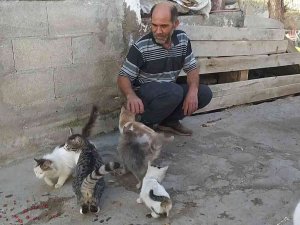 Kediler Babası: “Bunlar Benim Sadık Dostlarım”