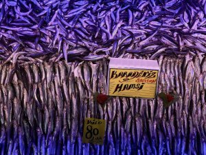 Hamsi Tezgâhları Şenlendirmeye Başladı