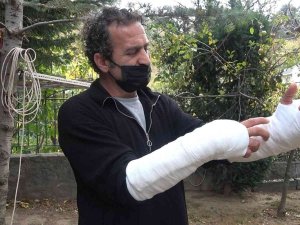 Pitbullu Saldırıya Uğradı...kolları Parçalandı, Ölümden Döndü