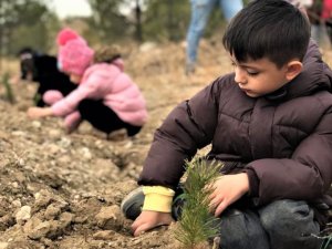 Minik Eller Fidanları Toprakla Buluşturuyor