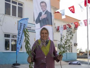 Mersin Büyükşehir Belediyesinden Üreticiye Fidan Desteği Sürüyor