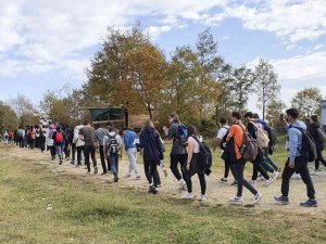 Üniversite Öğrencileri Aslanlar Göleti’ni Keşfetti