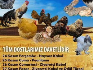 Muğla’da Birbirinden Çeşit Süs Hayvanları Kıyasıya Yarışacak