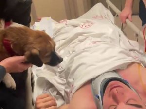 Kaza Sonrası İ̇stanbul’a Getirilen Oyuncu Sergen Deveci, Hastanede Köpeğiyle Kavuştu