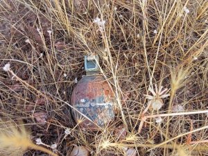 Bingöl’de El Bombası Ve Mayın İmha Edildi