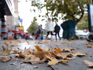 Sararan Ve Dökülen Yapraklar Görsel Şölen Oluşturdu